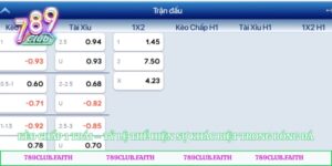Kèo Chấp 1 Trái – Tỷ Lệ Thể Hiện Sự Khác Biệt Trong Bóng Đá