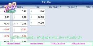Kèo Tài Xỉu 1 Trái – Tỷ Lệ Dành Cho Các Trận Đấu Lớn