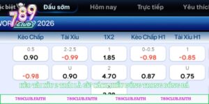 Kèo Tài Xỉu 2 Trái Là Gì? Cách Hiểu Đúng Trong Bóng Đá