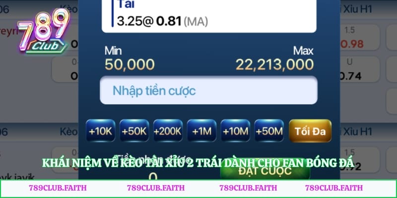 Khái niệm về kèo tài xỉu 2 trái dành cho fan bóng đá